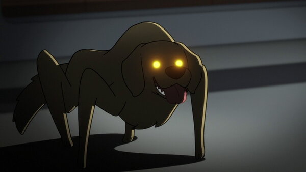 The Dog
