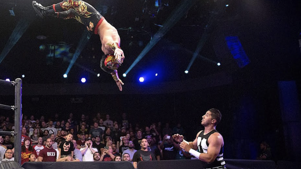 Mustafa Ali Lince Dorado