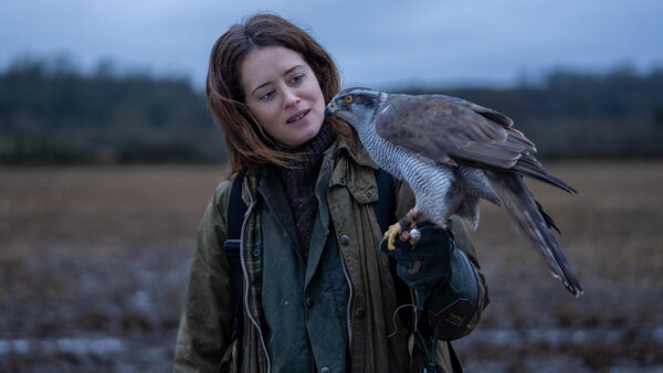 h is for hawk