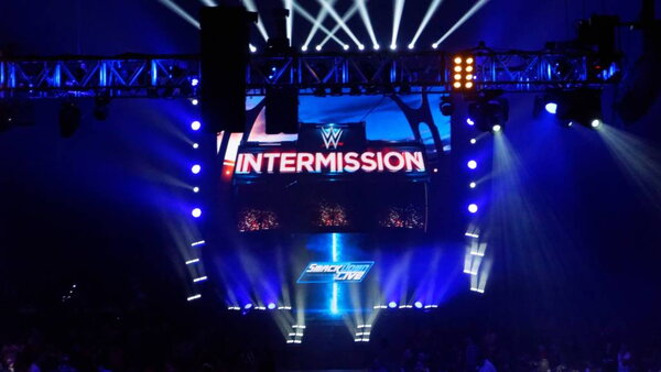WWE Intermission