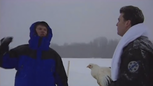 Vince McMahon Shane McMahon