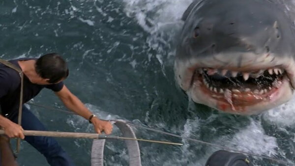 Jaws Shark