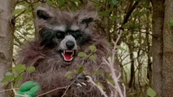 Crackcoon