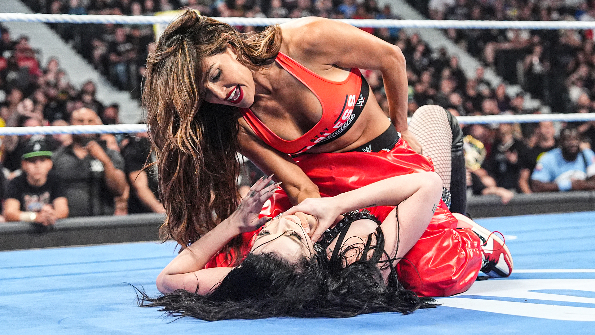 Nikki Bella Paige