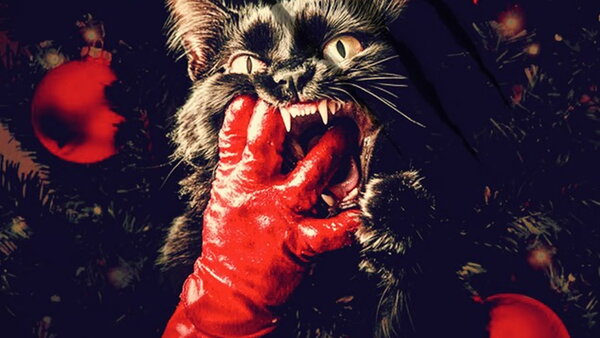 Catnip
