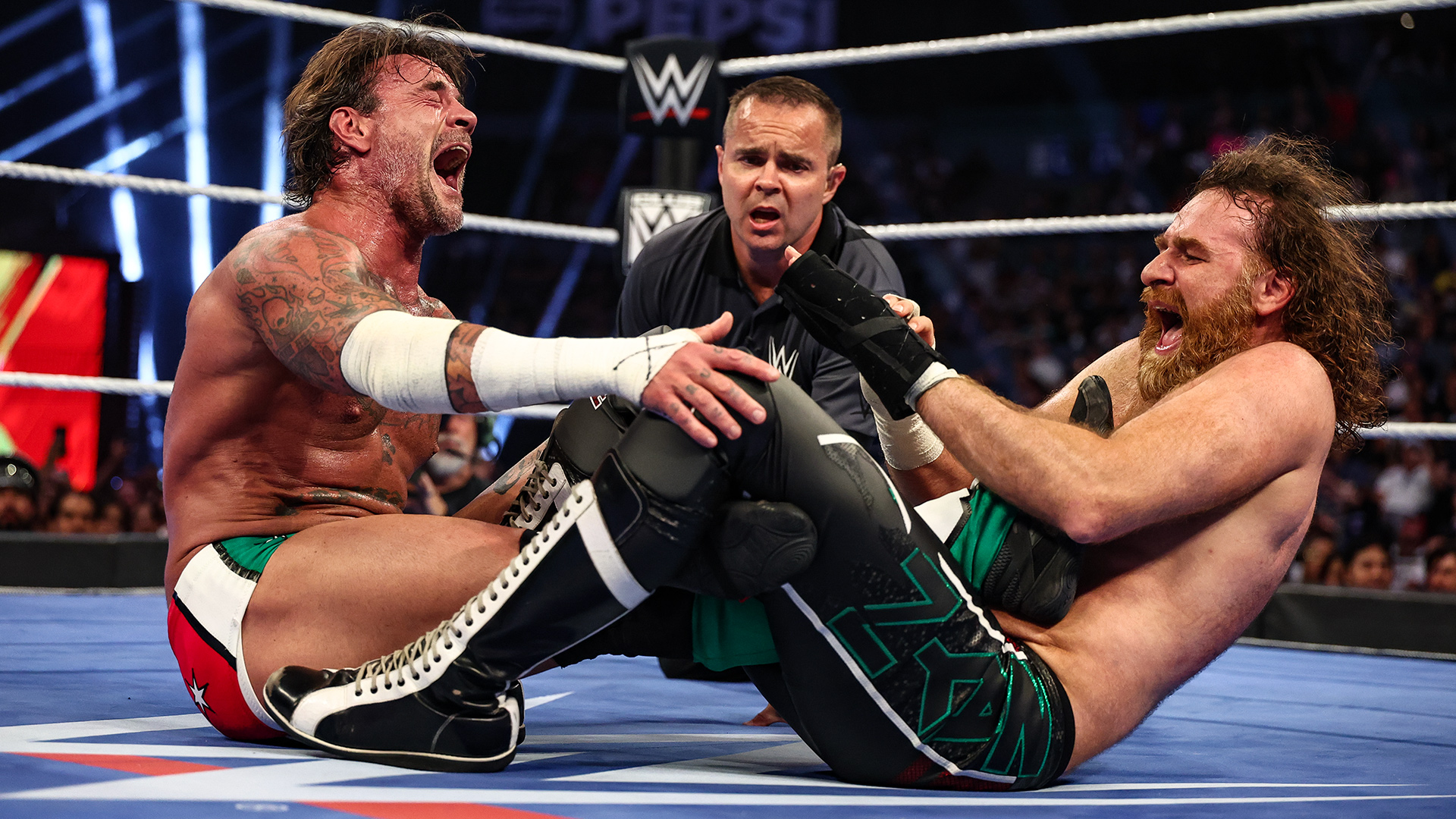 Sami Zayn CM Punk