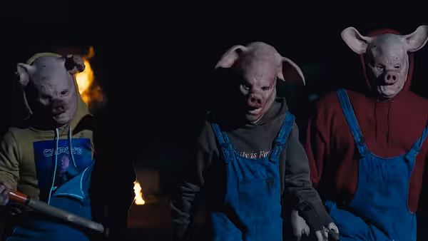 3 Killer Pigs