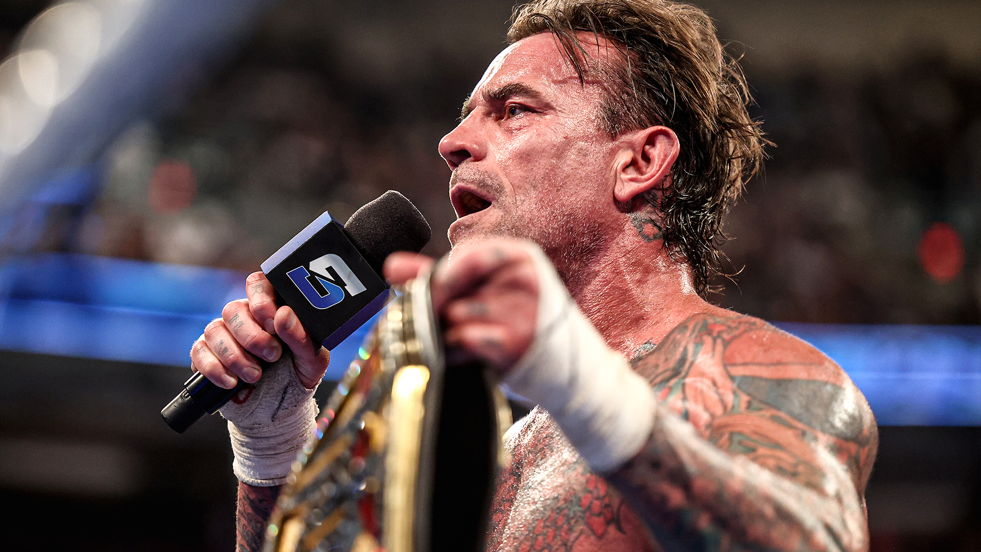 CM Punk