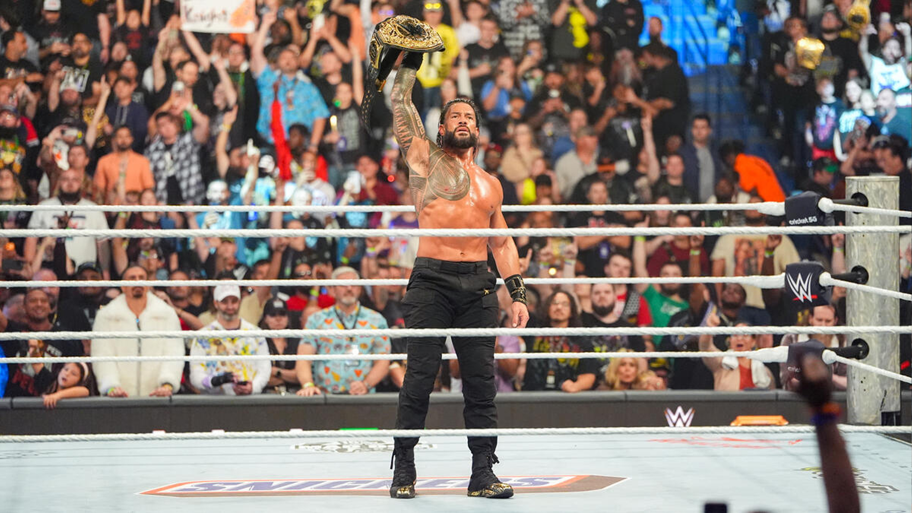 WWE Money in the Bank 2026 Roman Reigns