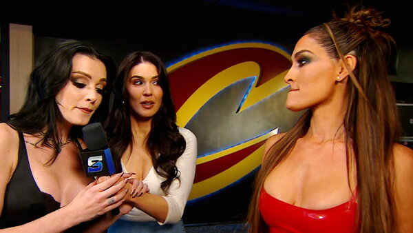 Paige Nikki Bella