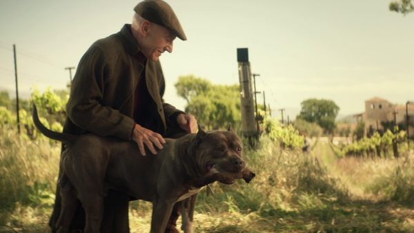 Star Trek Picard Remembrance Picard Number One